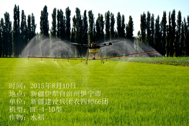 2015年8月10日伊犁水稻作業